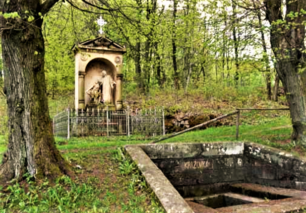 Obrázek #7 z 12