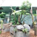 Darwinův kráter - Darwinův kráter zoo