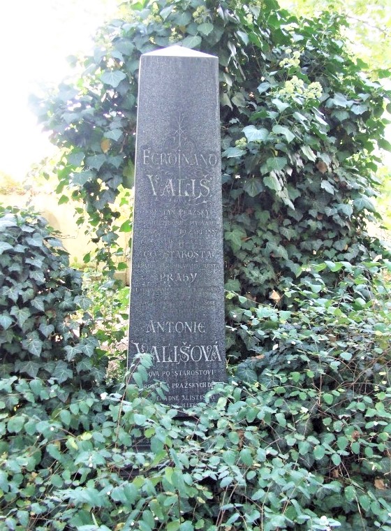 Obrázek #7 z 8