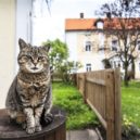 Čapci, R.U.R. a Stará Huť - 99 4_Památník Karla Čapka ve Staré Huti u Dobříše_foto Památník Karla Čapka_Ondřej Kroutil_repro zdarma