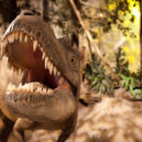 Ještěři - Albertosaurus -model