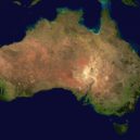 Koala - Austrálie