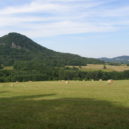 Ortel - Cvikovská pahorkatina, vrchol Ortel