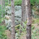 Toulovcovy maštale - Toulovcovy maštale