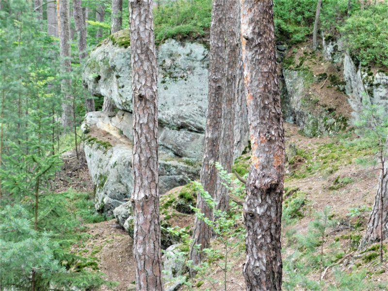 Obrázek #6 z 8