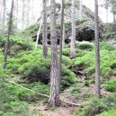 Toulovcovy maštale - Toulovcovy maštale