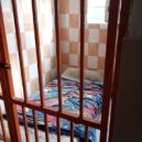 Psí útulek Lesan v Kralupech nad Vltavou - FOTO OTVIRAK SEVER V kralupském útulku Lesan zůstávají hlavně velcí psi – foto AC 10