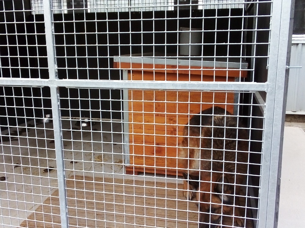 Obrázek #7 z 13