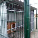 Psí útulek Lesan v Kralupech nad Vltavou - FOTO OTVIRAK SEVER V kralupském útulku Lesan zůstávají hlavně velcí psi – foto AC 9