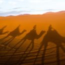 Carsten Niebuhr - Fake Sahara desert riders