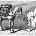 Gatling - Here it is shown ready for transport on horseback – 1872 – wikimedia.commons –