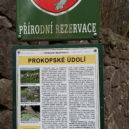 Prokopské údolí - Přírodní rezervace Prokopské údolí