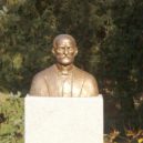 Pelyněk - Josif Pancic