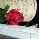 Čajkovskij - Kate Cox z Pixabay rose-1437010
