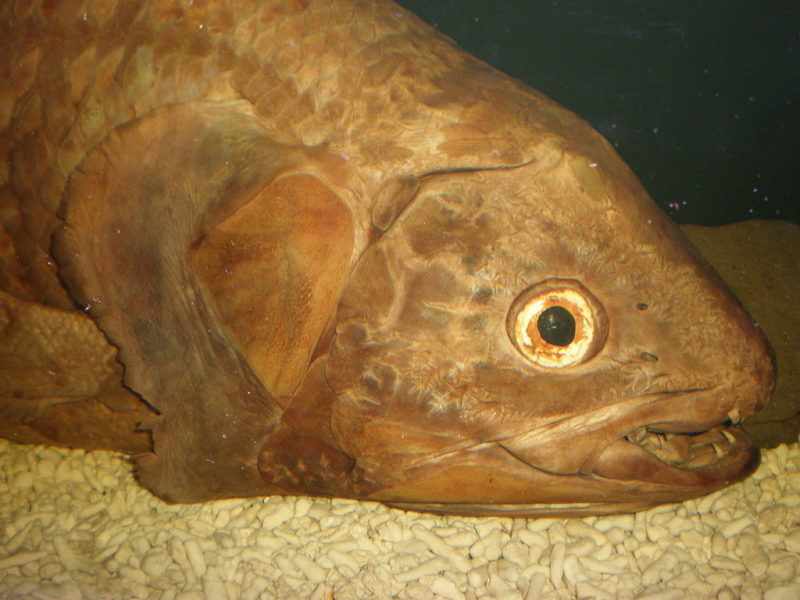 Obrázek #3 z 7