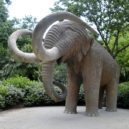 Co možná ještě nevíte o největším suchozemském savci - MAMUT (MAMMUTHUS PRIMIGENIUS)