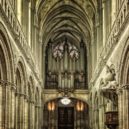 Katedrála Notre Dame - Katedrála Notre Dame