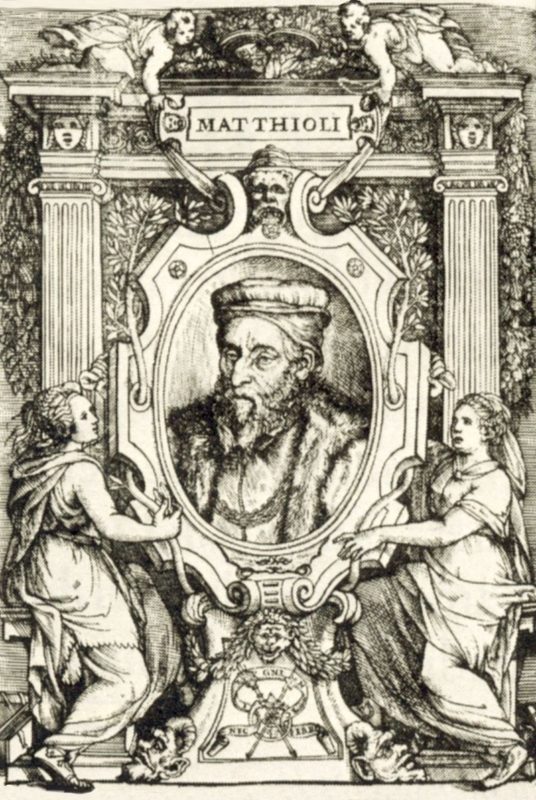 Obrázek #2 z 6