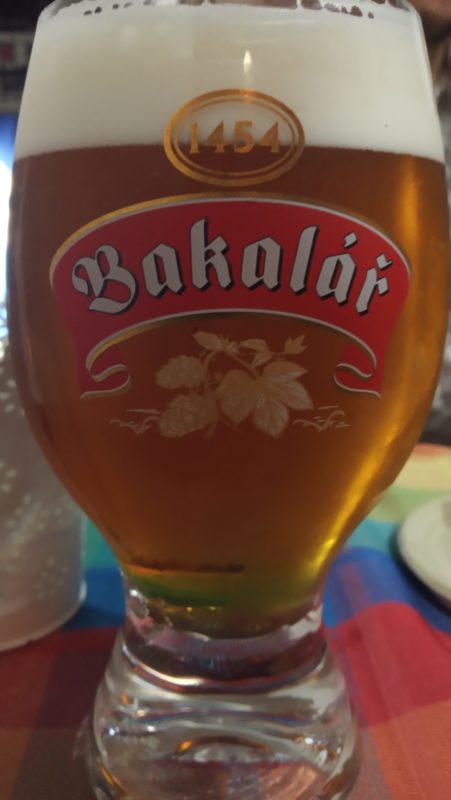 Obrázek #10 z 12