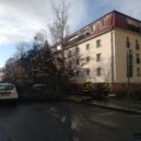 Pád stromu v ulici Na Dlouhém Lánu - Spadlý strom 1