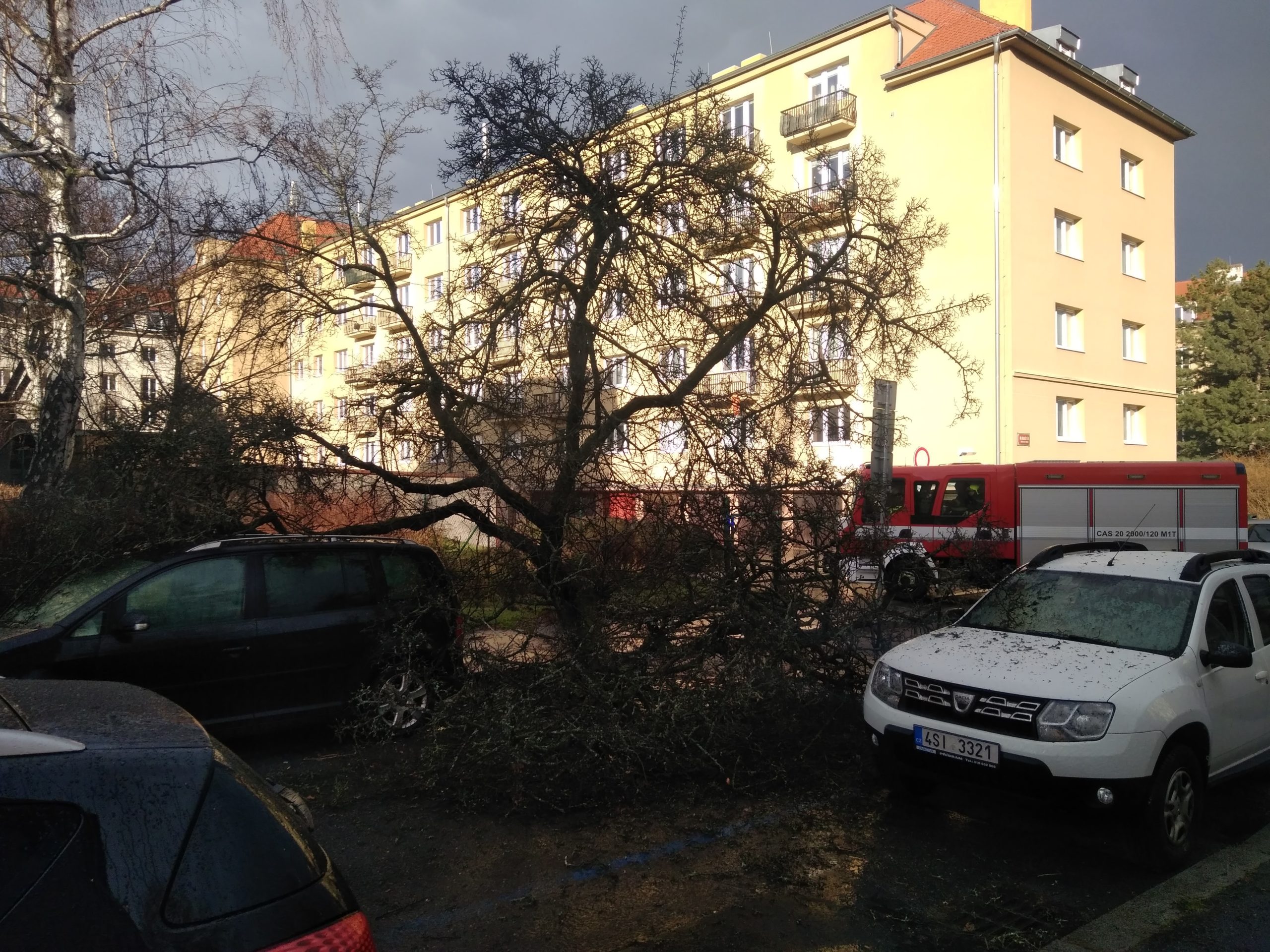 Obrázek #2 z 3
