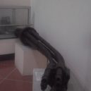 Gatling - The remain of M61 Vulcan shown in Museum of Vietnamese Military History – Ha Noi -wikimedia.commons –