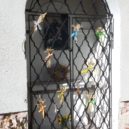 Školky a školy na Kutnohorsku - Veselá kaplička
