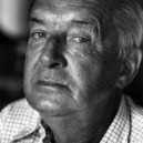 Vladimir Nabokov - Rusko, Nabokov, literatura, spisovatel Vladimir_Nabokov_1973