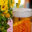 Podej mi pivo - půllitr pivo
