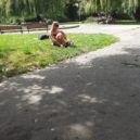 Reportáž psaná na Karláku - bezdomovec