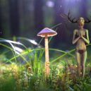 Zlaté kapradí - Elf při modlitbě