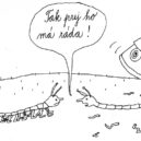 SORRY květen 2020 - fff200+