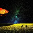 LSD - LSD