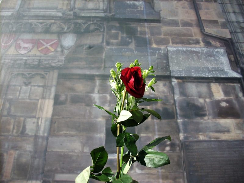 Obrázek #6 z 7