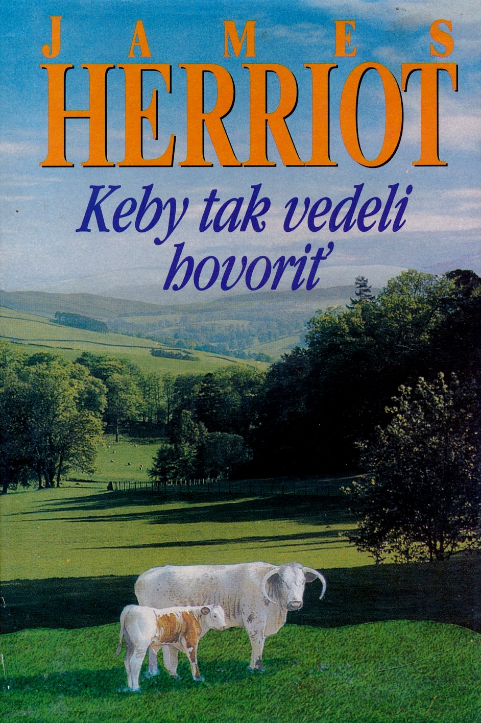 Obrázek #13 z 26