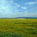 Jihočeská idyla - Jihočeská louka