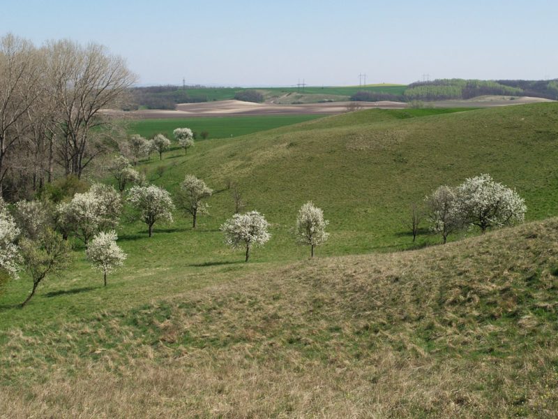Obrázek #2 z 4