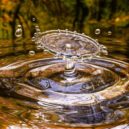 Dr. Gottlieb – Jáchymov - pixabay qimono drop-3698073