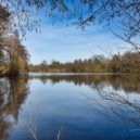 Jihočeská idyla - Jihočeský rybník za jasného dne