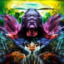 LSD - LSD