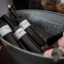 Víno Karla IV. - víno láhve vinná réva vino_vinice_krest_2020_D6A2357