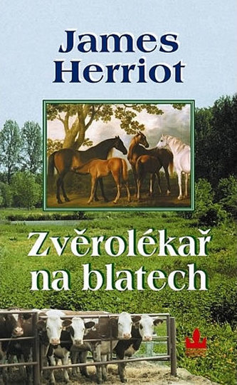 Obrázek #8 z 26