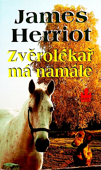 Obrázek #12 z 26