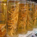 Čínská medicína - ženšen