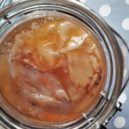 Kombucha - Kombucha SCOBY