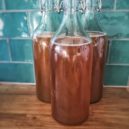 Kombucha - kombucha