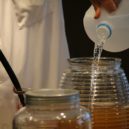 Kombucha - kombucha
