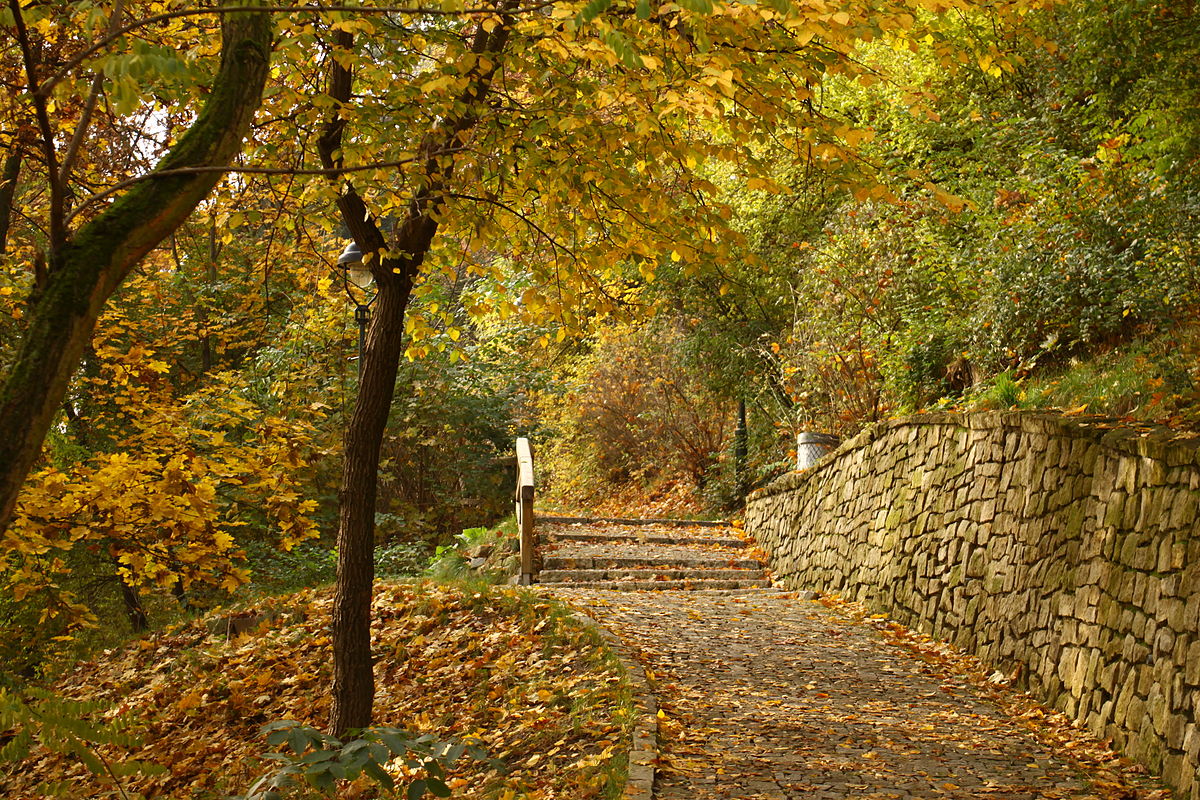 Obrázek #6 z 6