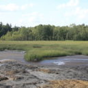 Přírodní rezervace Soos - 04_Soos_Landscape_05