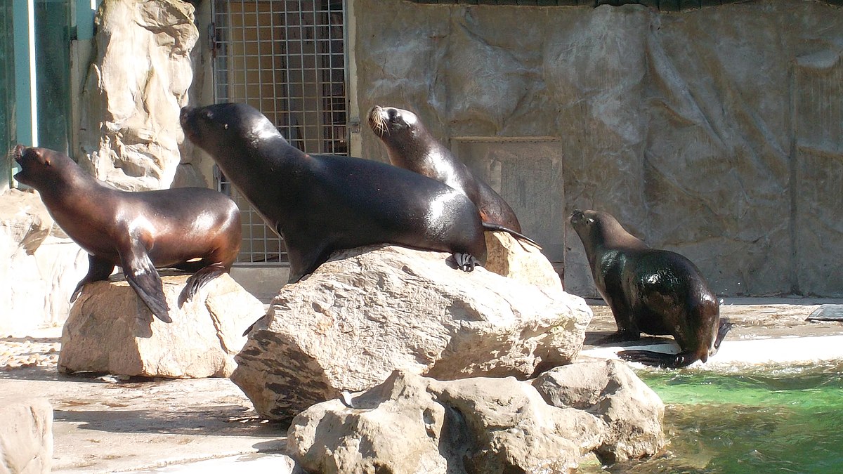 Po 48 dnech se otevře Liberecká zoo. Plusy a mínusy opatřeních